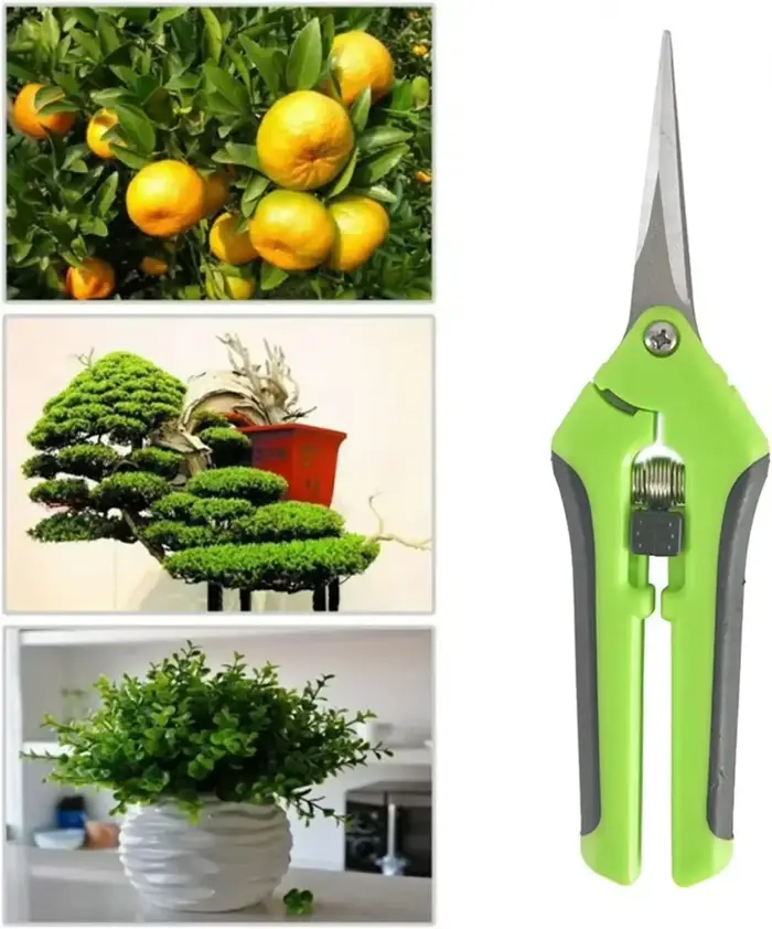 Outils de jardin sécateurs bonsaï ciseaux de jardinage en métal outil d'élagage coupe-main cueillette de fruits mauvaises herbes ménage en pot