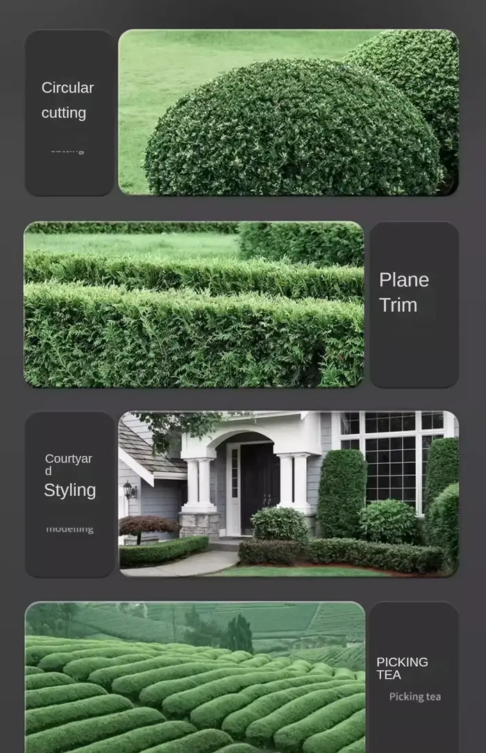 Taille-haie électrique portatif : sécateur sans fil pour jardin et pelouse