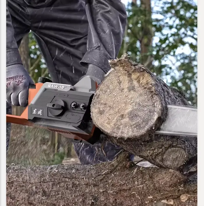 Scie électrique légère et compacte 220V pour l'élagage et la coupe des arbres QCL