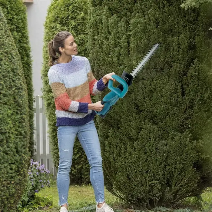 Taille-haie électrique sans fil portable 600 mm à double lame