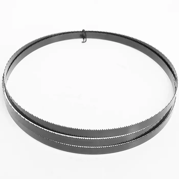 Outils de travail de scie à ruban pour 8 en effet Draper Scheppac Einhell TH-SB200 livraison gratuite 1pc 1610mm lame