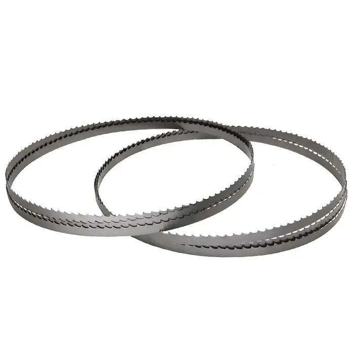 TASP 2 lames de scie à ruban de 1425 mm