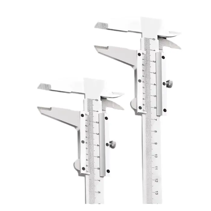 Pied à Coulisse Vernier 0-300mm Précision 0.02mm Acier Carbone Outil de Mesure Manuel Qualité Industrielle Calibre